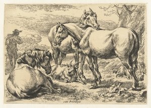 Tre heste Dyr (serietitel)