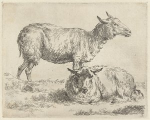 Staand en liggend schaap Schapen (serietitel) Dyr draget til livet og trykt i vand af stærk luft af Nicolai Berchems atelier og kunst (serietitel) af Nicolaes Pietersz Berchem