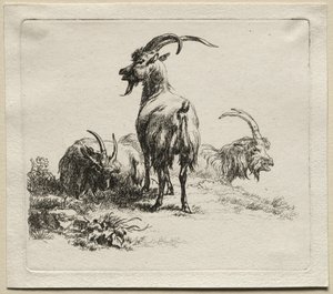Tre geder. af Nicolaes Pietersz. Berchem
