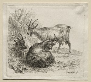 Tre geder. af Nicolaes Pietersz. Berchem