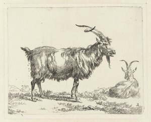 To geder Geiten (serietitel) Dyr draget til livet og trykt i vand af stærk luft af Nicolai Berchems atelier og kunst (serietitel)