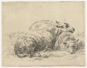 Twee Liggende Schapen Schapen (serietitel) Dyr til en levende afgrænsning og vandets vand, luften, imponerede undersøgelsen og dygtigheden Nicholas Berchemi (serietitel)