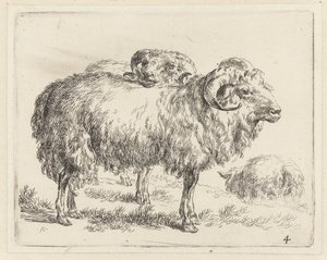 Twee rammen en een schaap Schapen (serietitel) Dyr draget til livet og trykt i vand af stærk luft af Nicolai Berchems atelier og kunst (serietitel)
