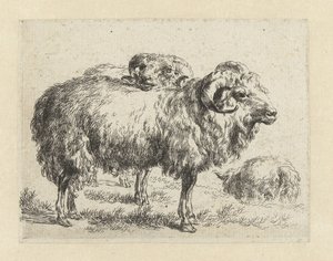 Twee rammen en een schaap Schapen (serietitel) Dyr draget til livet og trykt i vand af stærk luft af Nicolai Berchems atelier og kunst (serietitel)
