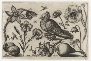 Blomster, en pære og en due Fugle, blomster, insekter etc. (serietitel)