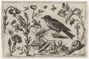 Blomster, en snegl og en fugl Fugle, blomster, insekter etc. (serietitel)