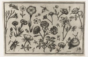 Blomster, en flue og en snegl Fugle, blomster, insekter etc. (serietitel)