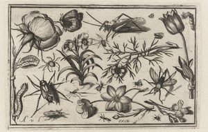 Blomster og insekter Fugle, blomster, insekter etc. (serietitel)