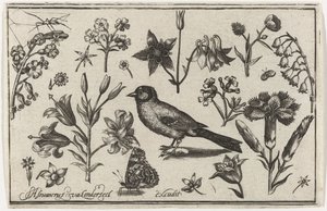 Blomster, sommerfugl og en fugl Fugle, blomster, insekter etc. (serietitel)
