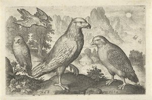 Ørn og andre rovfugle Fugle og insekter (serietitel) af Nicolaes de Bruyn