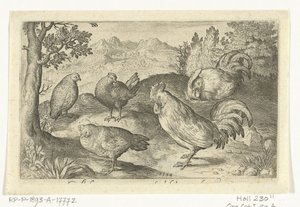 Tre høns og to haner Fugle og insekter (serietitel) af Nicolaes de Bruyn