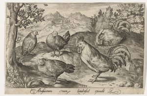 Tre høns og to haner Fugle og insekter (serietitel) af Nicolaes de Bruyn
