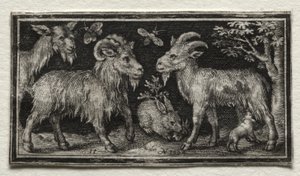 Geder og Hare af Nicolaes de Bruyn
