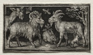 Geder og Hare, 1594. af Nicolaes de Bruyn