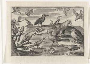 Humle og andre fugle Fugle og insekter (serietitel) af Nicolaes de Bruyn