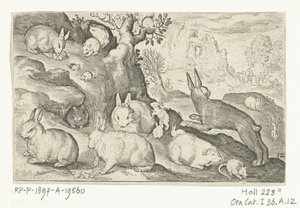 Kaniner, egern, marsvin og mus Animalivm qvadrvpedvm (serietitel) Dyr i landskaber (serietitel) af Nicolaes de Bruyn