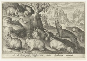 Kaniner, egern, marsvin og mus Animalivm qvadrvpedvm (serietitel) Dyr i landskaber (serietitel) af Nicolaes de Bruyn