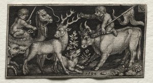 Aber, der rider på en kamel og en tyr
