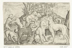 Ni hunde Animalivm qvadrvpedvm (serietitel) Dyr i landskaber (serietitel) af Nicolaes de Bruyn