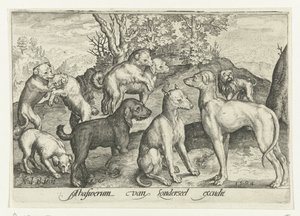 Ni hunde Animalivm qvadrvpedvm (serietitel) Dyr i landskaber (serietitel) af Nicolaes de Bruyn