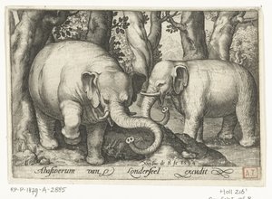 To elefanter Animalivm qvadrvpedvm (serietitel) Dyr i landskaber (serietitel) af Nicolaes de Bruyn