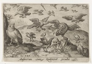 Ugle med bytte forfanget af andre fugle Fugle og insekter (serietitel) af Nicolaes de Bruyn