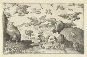 Ugle med bytte forfanget af andre fugle Fugle og insekter (serietitel) af Nicolaes de Bruyn
