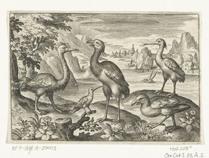Fem fugle inklusive skestork Fugle og insekter (serietitel) af Nicolaes de Bruyn