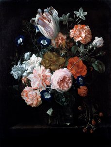 En tulipan, nelliker og morgenherlighed i en glasvase, 1600-tallet.