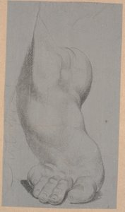 Studie af en fod af Nicolai Abildgaard