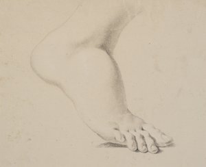 Studie af en fod af Nicolai Abildgaard