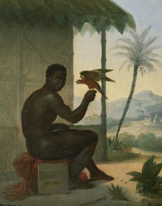 Brasiliansk sort med Tropical Bird