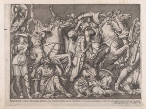 Mirror of Roman Magnificence: Battle of the Amazons, 1559., 1559. af Nicolas Beatrizet