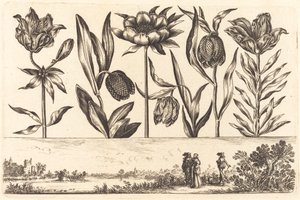 Blomstertryk nr.11