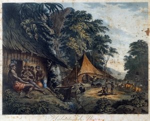 Den sortes hjem af Nicolas Colibert