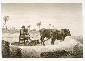 Harvesting Corn, fra bind II Arts and Trades af 