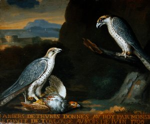 To gyrfalke, den ene holder en agerhøne (olie på lærred) af Nicolas Spheyman