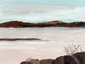 Tågesøen af Nikita Jariwala