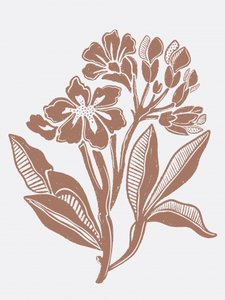 Rustik blomsterillustration af Nikita Jariwala