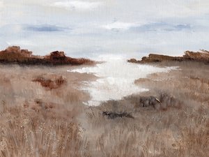 Fredfyldt sump-landskab