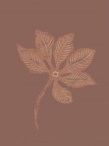 Tekstureret botanisk blad af Nikita Jariwala