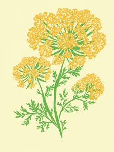 Levende gul blomsterstand af Nikita Jariwala