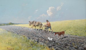 Marken pløjer, 1899