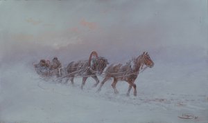 Snestorm, 1901