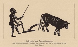 Oldgræsk oksetrukket plov (litografi) af Nikosthenes