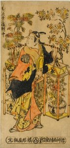 Peddler of Flowers of the Four Seasons - Et sæt af tre (Shiki no hanauri sanpukutsui)