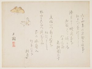(Sommerfugle) af Nishiyama Hoen