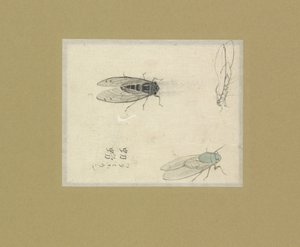 Tre undersøgelser af fluer af Nonoyama Kozan (possibly)