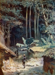 I dybet af en melanesisk skov, 1908 af Norman Hardy