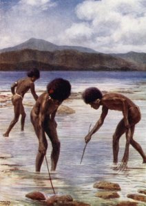 Søger efter små blæksprutter på revet ved lavvande, Samari, Britisk Ny Guinea (farve litho) af Norman Hardy
